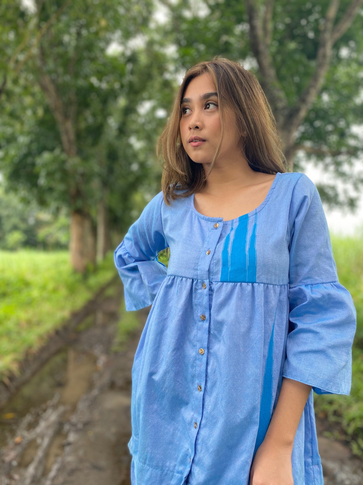 Amira